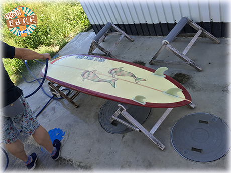 オープンフェイスイメージ